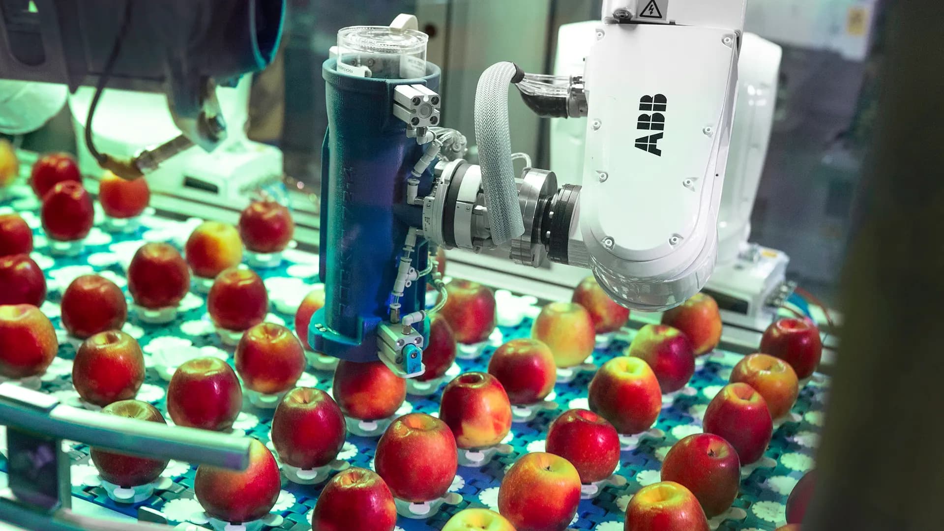 MHM HC-Apple-Tube-Filling-3
